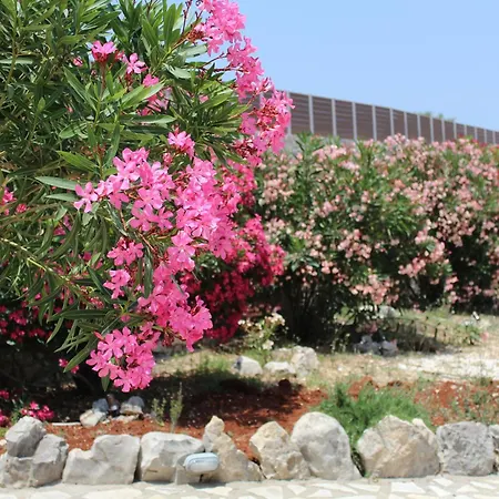 Il Sogno Di Zante Villa Skinaria