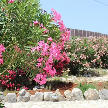 Il Sogno Di Zante Villa *